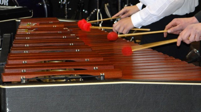 Najaarsconcert Excelsior (zondag  5 november 2017)